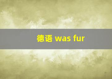 德语 was fur